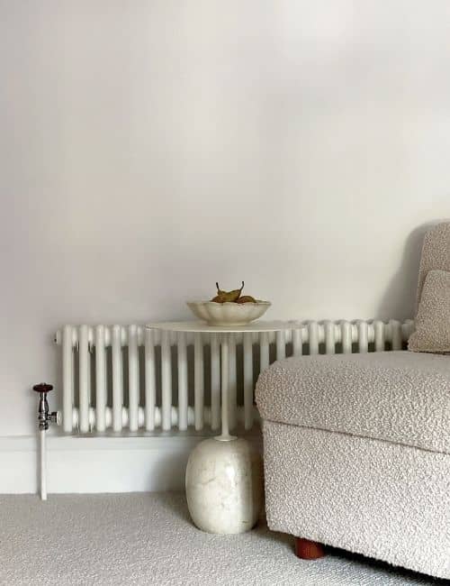 75 Living Room Radiator Ideas