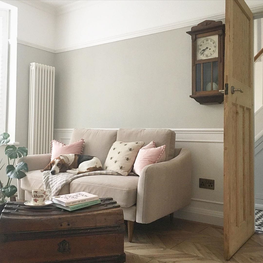 dog on a sofa next to a vertical radiator