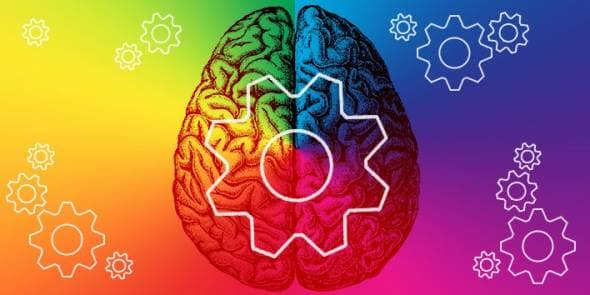 a picture of a brain showing the psychology of colour a picture of a brain showing the psychology of colour