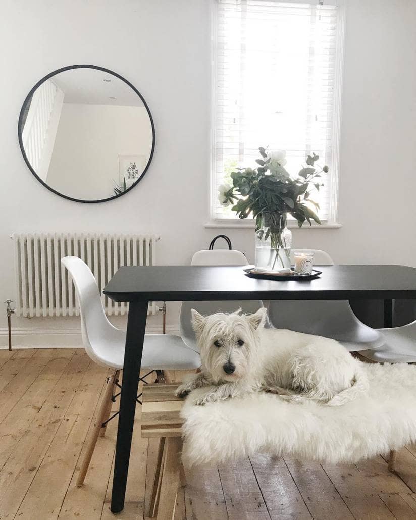 33976101_2047505695491679_4604786217890873344_n Milano Windsor column radiator in a dining room.