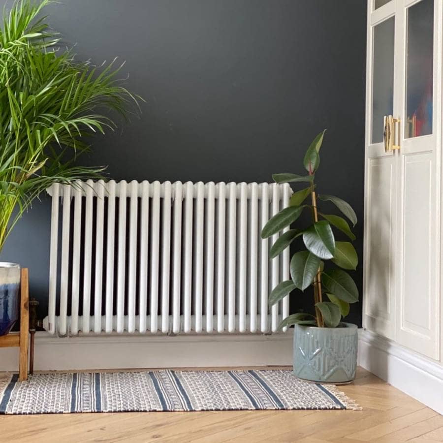 75 Living Room Radiator Ideas