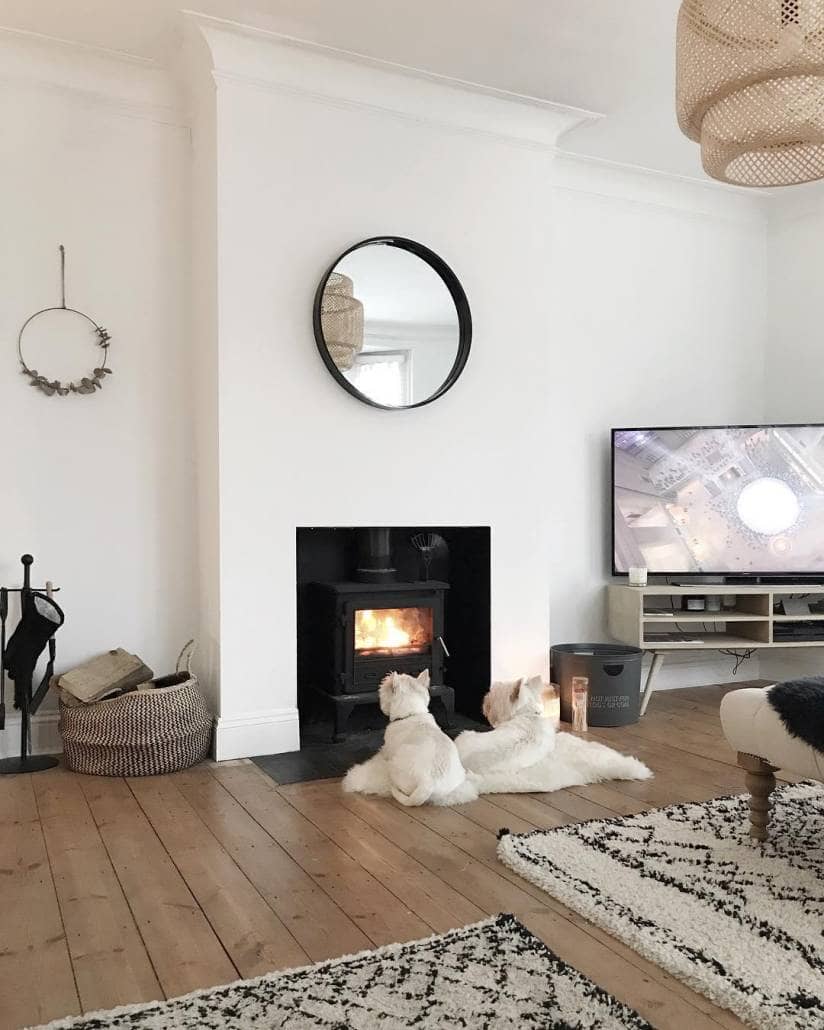 49907465_550462958767955_5539894549494141584_n Two white dogs in a living room.