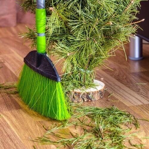 Christmas tree needles on the floor next to the tree