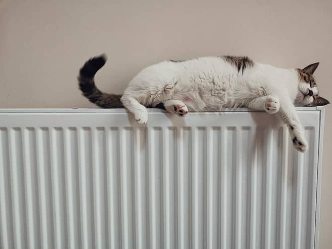 A cat lying comfortably on top of a radiator