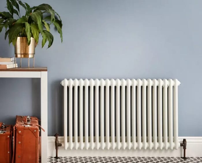 White column radiator in front of blue wall near house plant