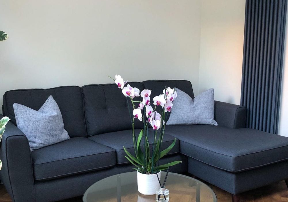 anthracite windsor next to a grey sofa