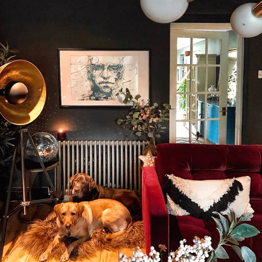 Two dogs next to a Milano Windsor radiator