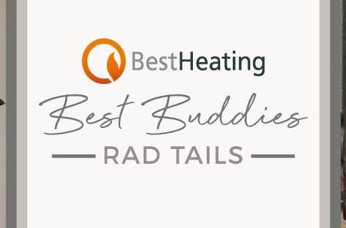 BestHeating Best Buddies Blog Banner