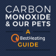 header image for carbon monoxide and pets article
