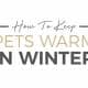 How To Keep Pets Warm In Winter featured image