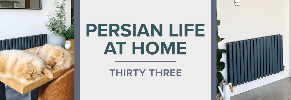bh-persian-blog persian life at home thirty three blog banner