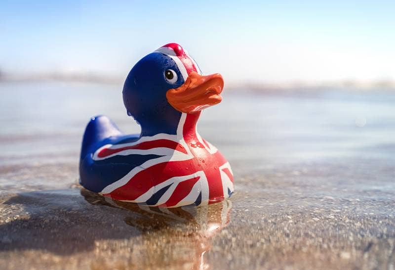 Brexit Duck on the shore 