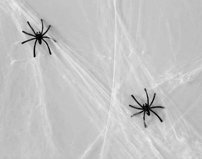 halloween decoration of-black toy spiders on a web
