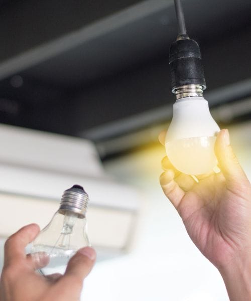 Hands handling light bulbs