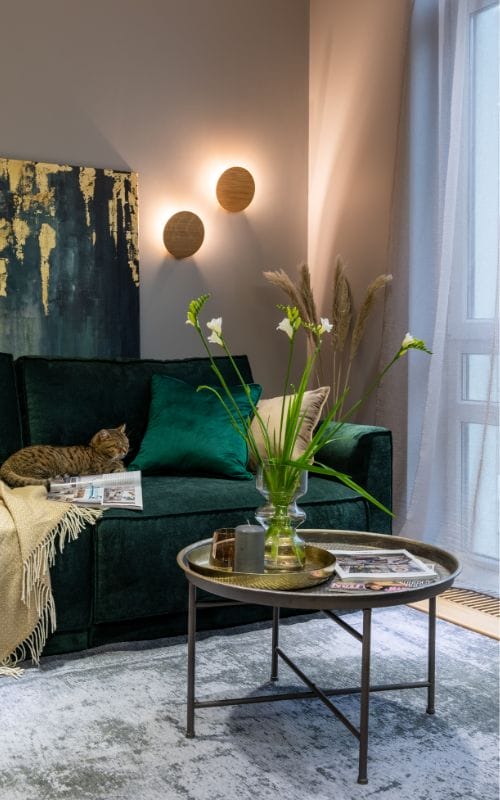 a cosy living room with a rug and curtains