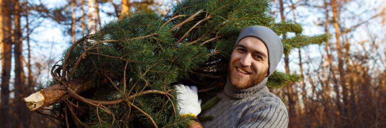 christmas tree position blog banner image