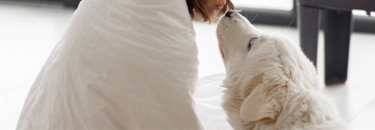 How To Keep Pets Warm In Winter featured image