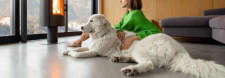 Plumbing and heating winter tips blog banner image