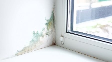How to prevent damp and mould with effective heating blog banner