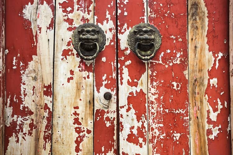 closeup of the mottled old door with knocker